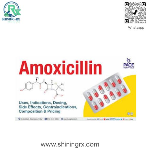 Amoxicillin, supplied by ShiningRX